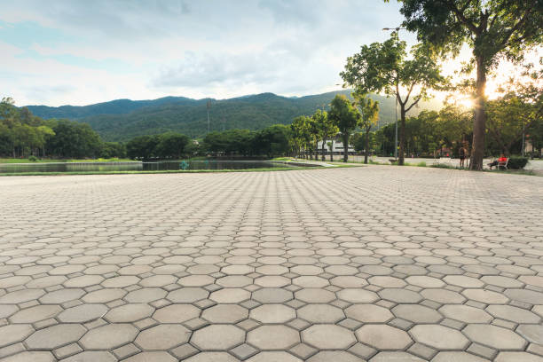 Best Best Driveway Pavers  in Brogden, NC