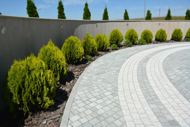 Best Driveway Pavers Near Me  in Brogden, NC